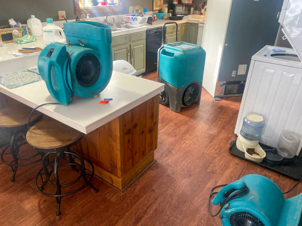 Best Flood damage cleanup  in Redfield, AR