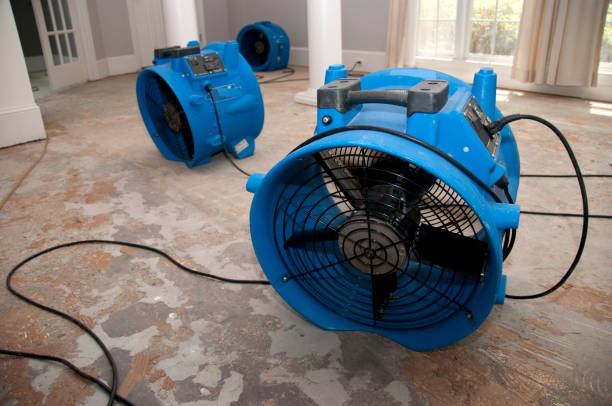 Best Mold removal after water damage  in Redfield, AR
