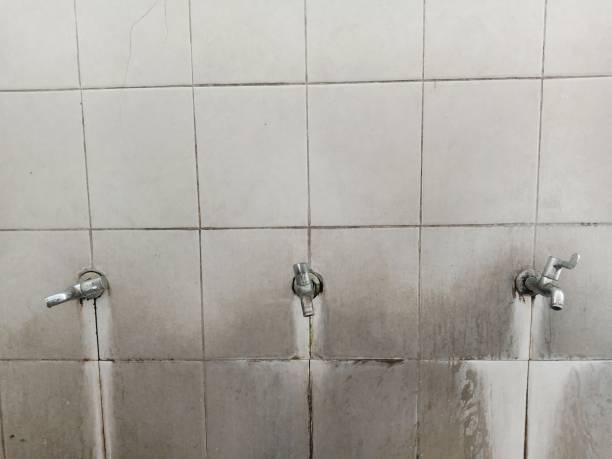 Best Water damage contractors near me  in Redfield, AR