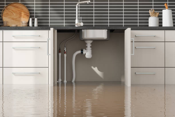Best Basement water damage restoration  in Redfield, AR